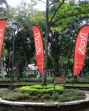 PLUMA PUBLICITARIA 3.5M
